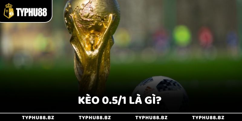 Kèo 0.5/1 Là Gì Giúp Thắng Lớn Khi Cược Thể Thao Typhu88