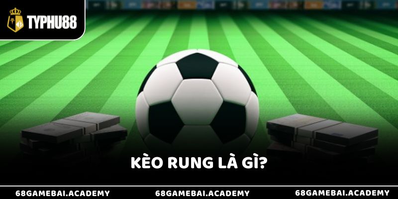 Kèo Rung Là Gì? Hướng Dẫn Cách Bắt Kèo Chuẩn Xác Cho Người Mới