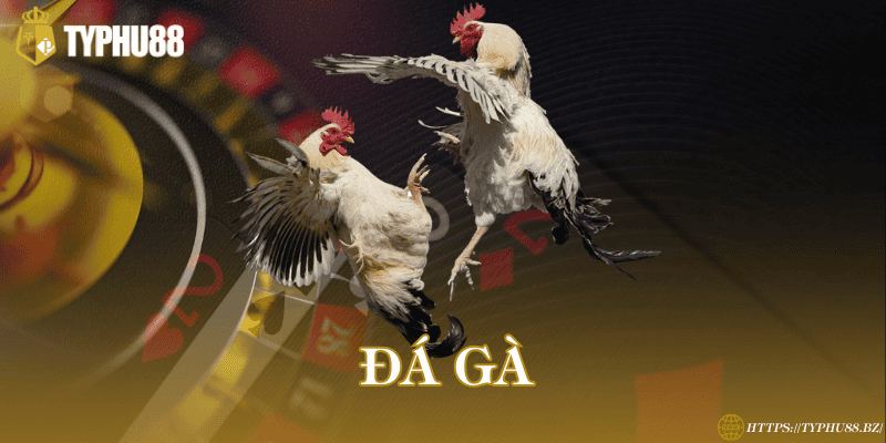 Đá gà 